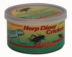 Lucky Reptile Herp Diner - cvrci 35g 35g - velc
