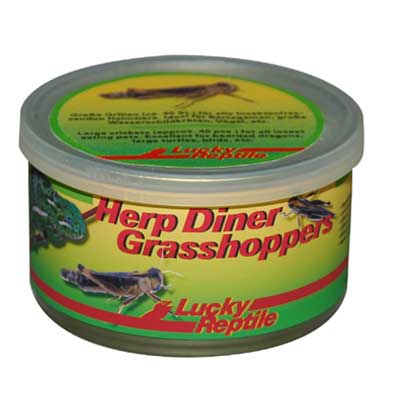 Lucky Reptile Herp Diner - saranata 35g cca 50 stednch